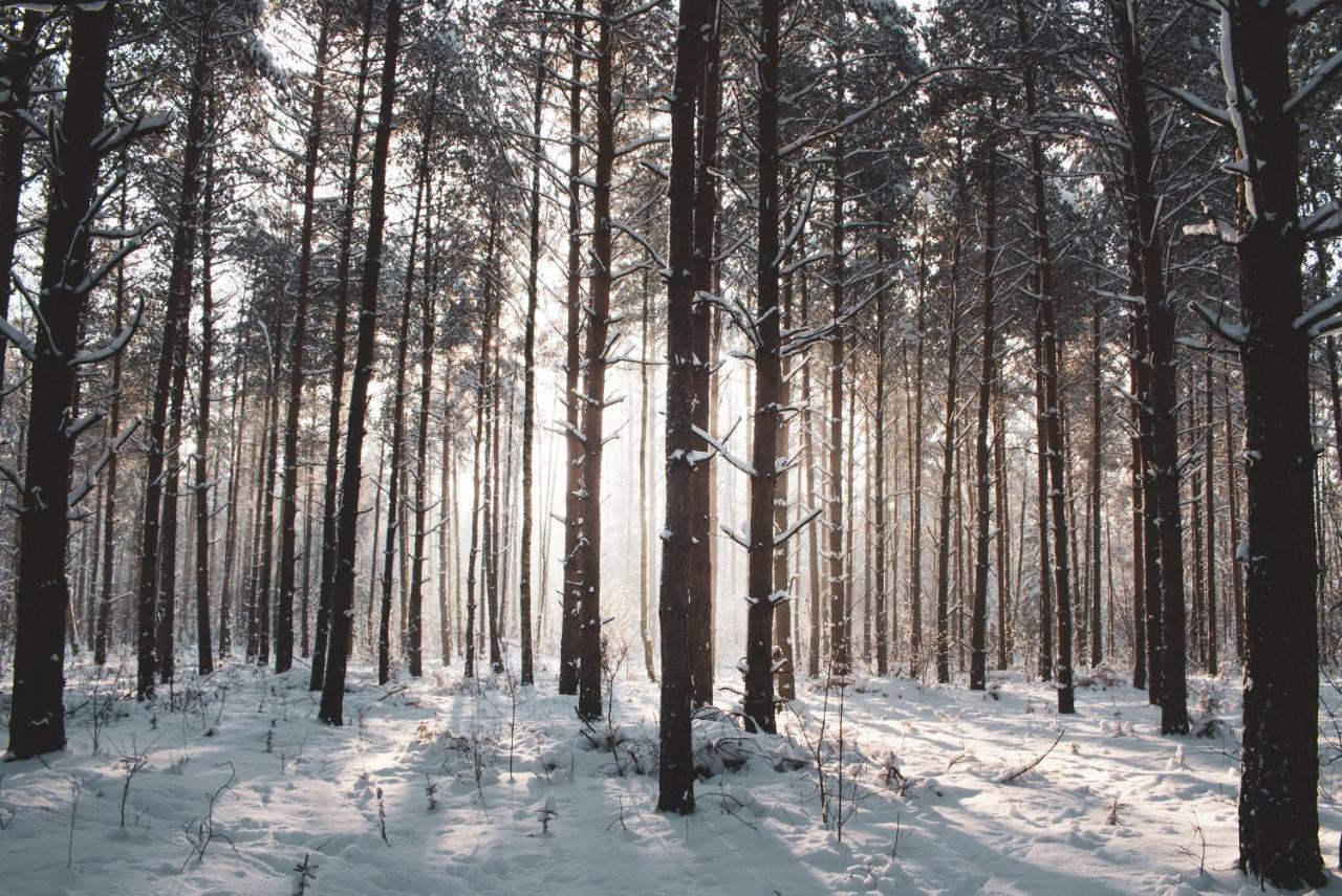 Lesna 21 Dom Poludnie Przy Puszcza Bialowieska Luka Εξωτερικό φωτογραφία