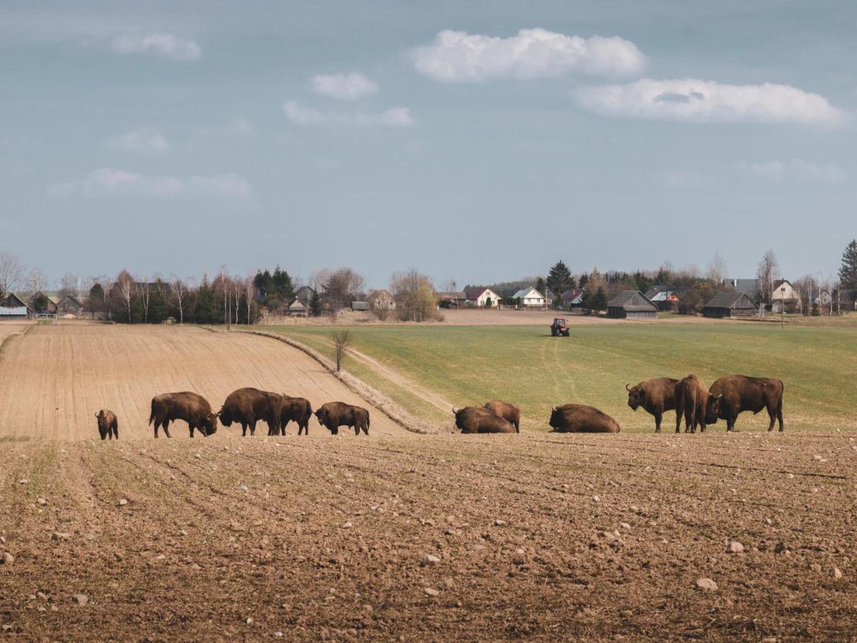 Lesna 21 Dom Poludnie Przy Puszcza Bialowieska Luka Εξωτερικό φωτογραφία