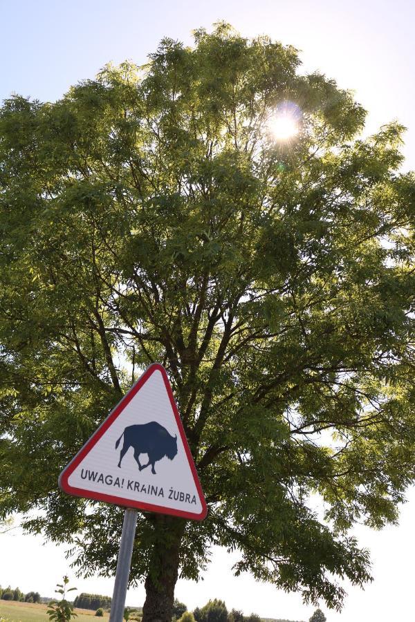 Lesna 21 Dom Poludnie Przy Puszcza Bialowieska Luka Εξωτερικό φωτογραφία