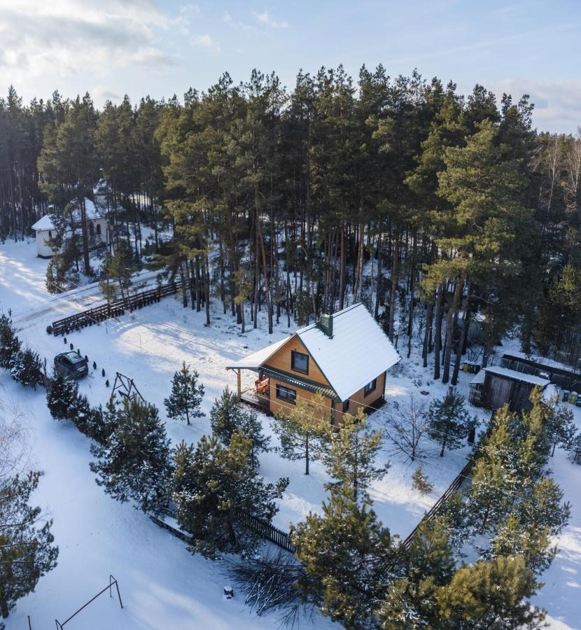 Lesna 21 Dom Poludnie Przy Puszcza Bialowieska Luka Εξωτερικό φωτογραφία