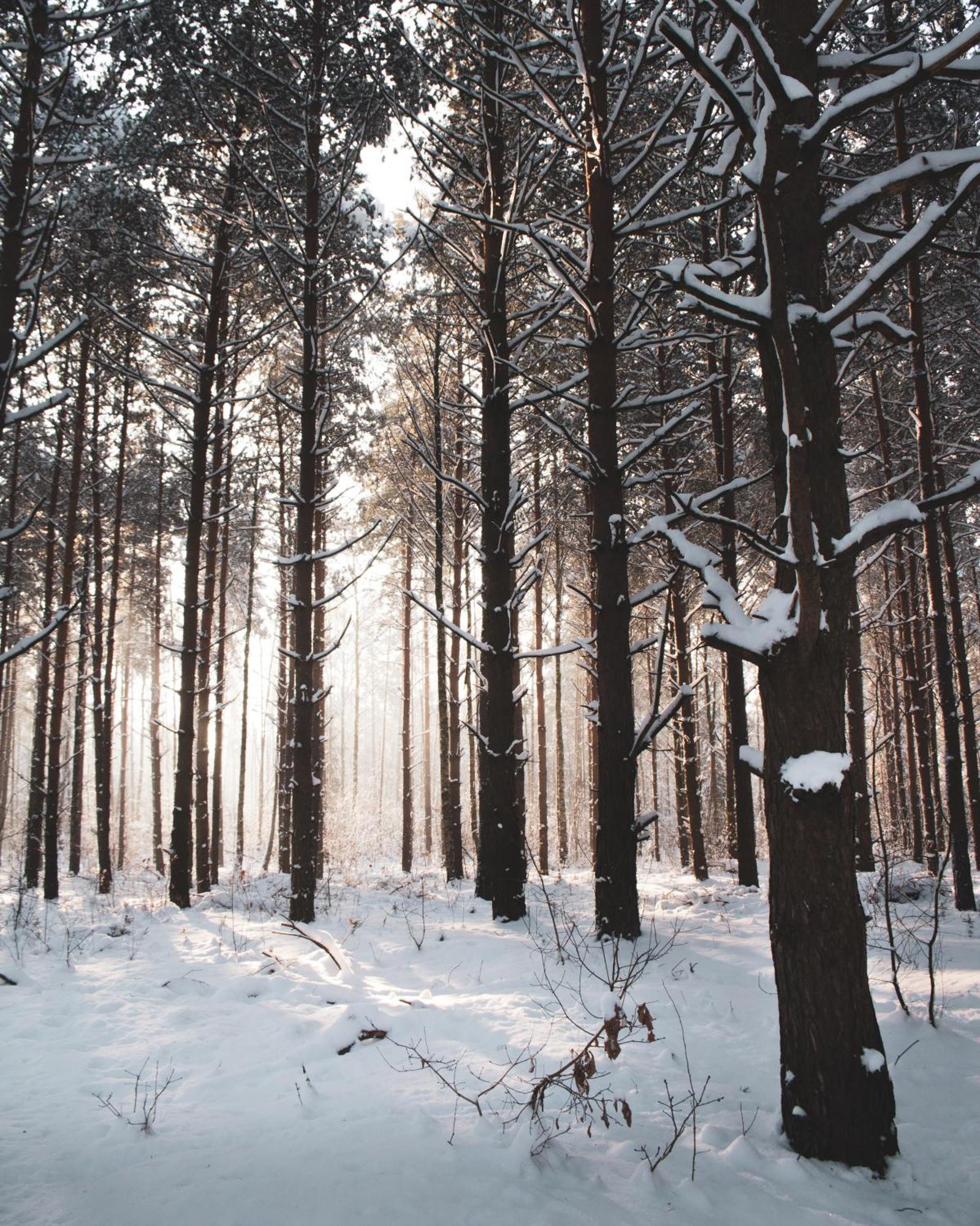 Lesna 21 Dom Poludnie Przy Puszcza Bialowieska Luka Εξωτερικό φωτογραφία